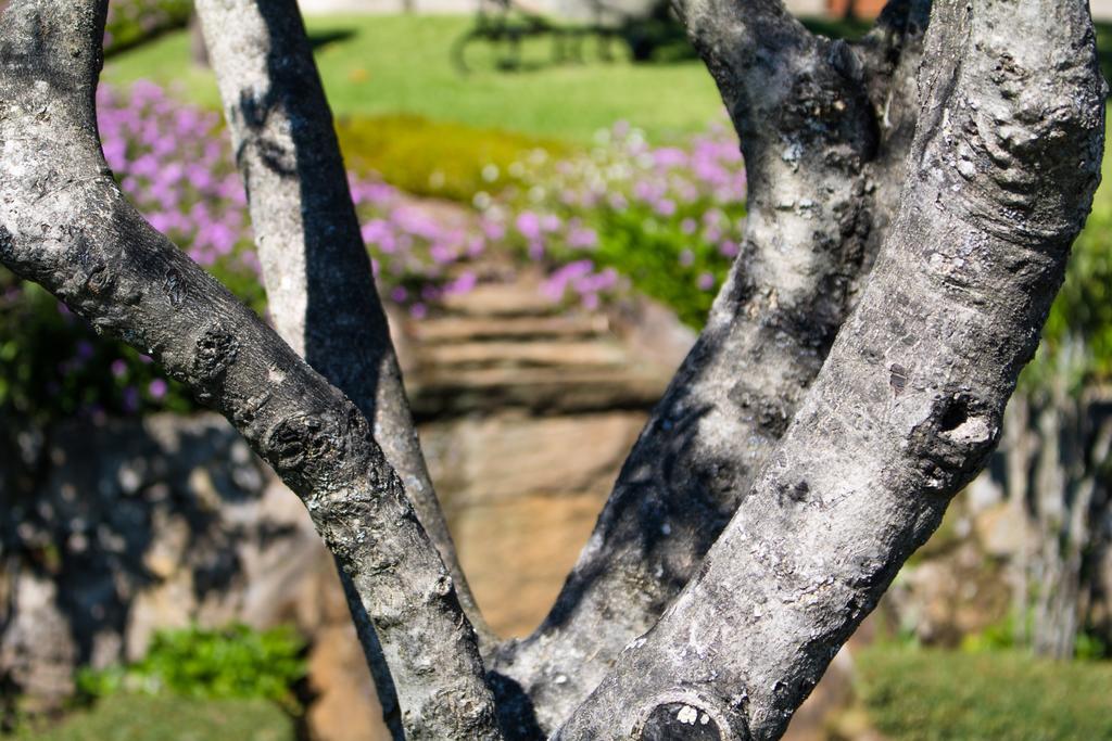 Quinta Da Eira Do Sol Villa Guimarães Kültér fotó